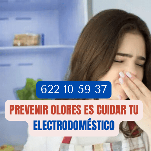 Reparación de frigoríficos en la Costa del Sol